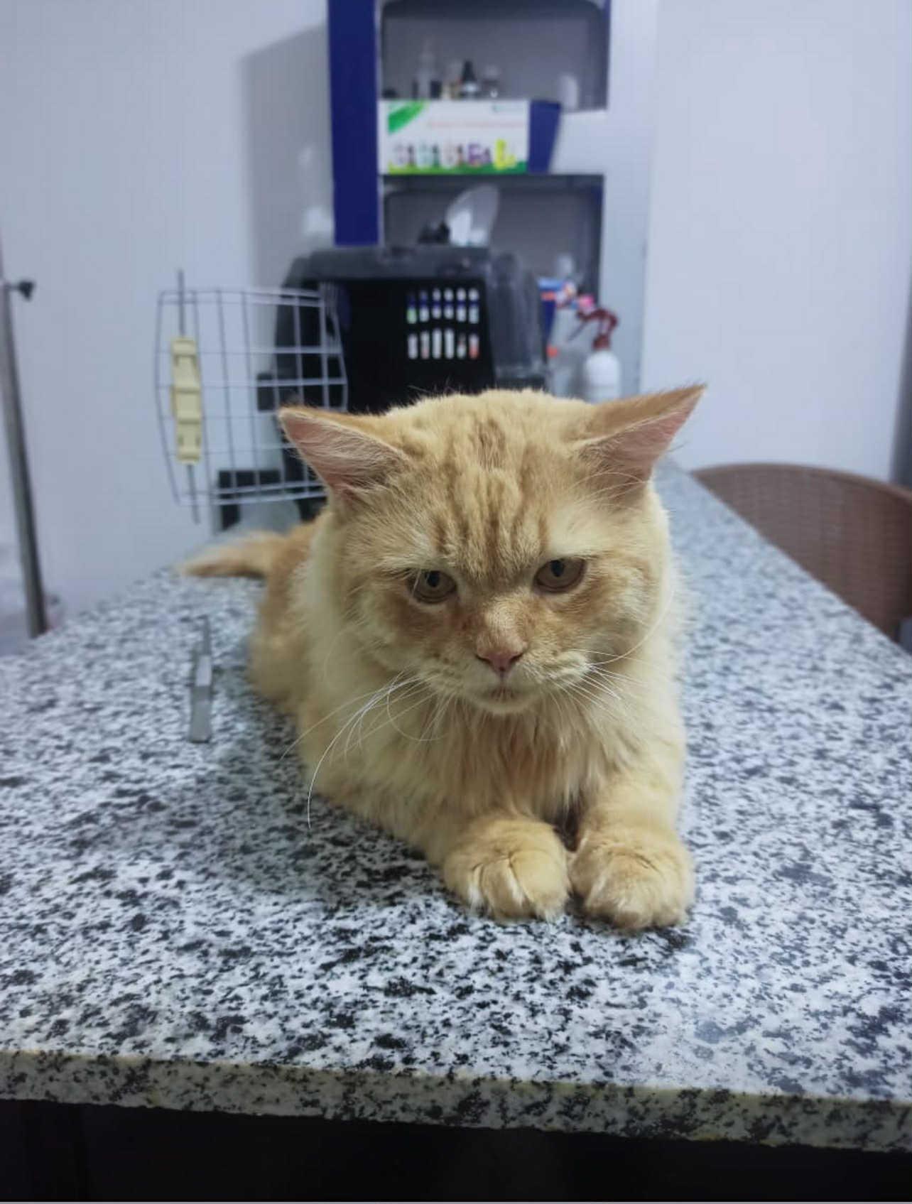 Rio