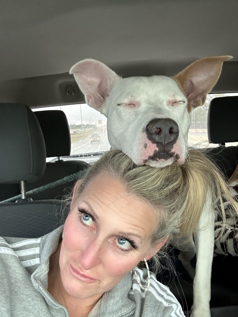 Goofy, a Adoptable mixed breed in Bixby, OK image 4/6