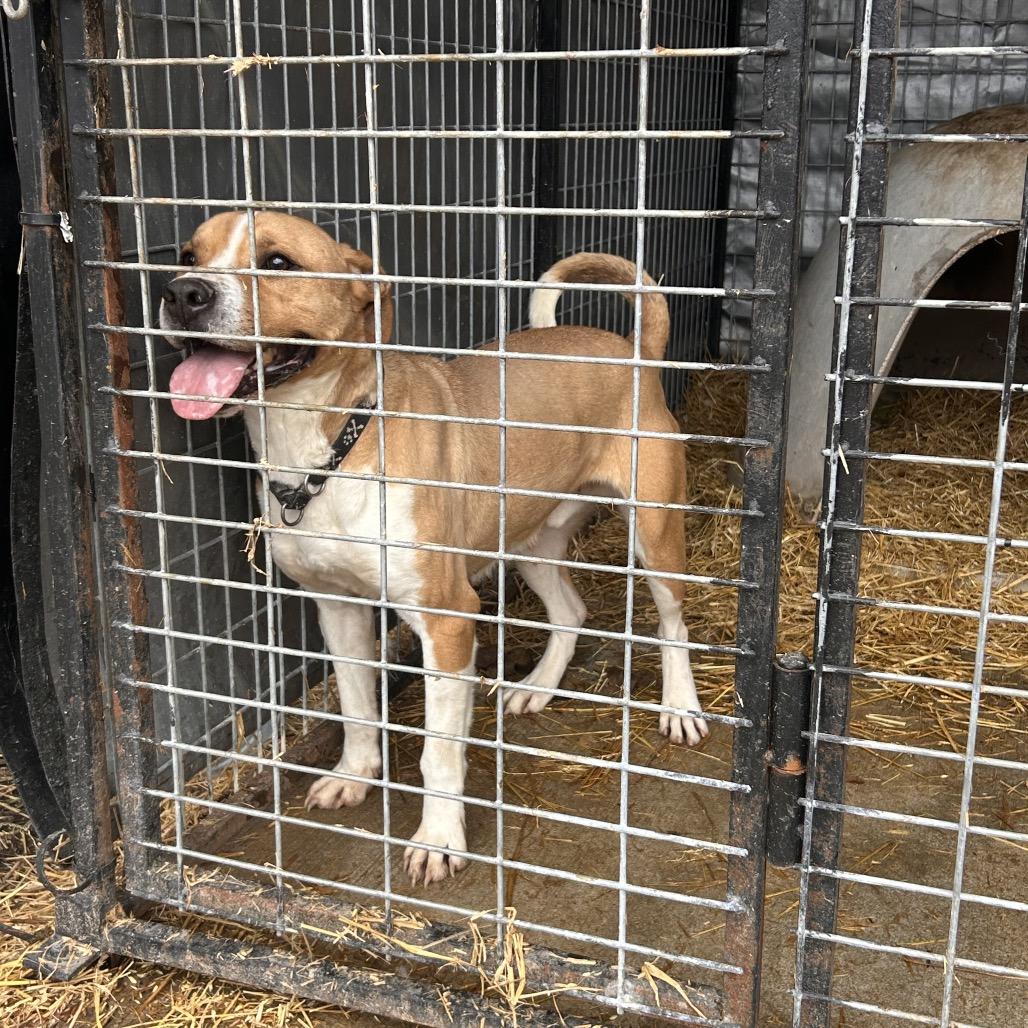 Hulk — thumbnail 3