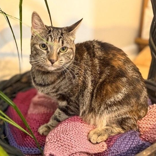 Manhattan New York — thumbnail 2