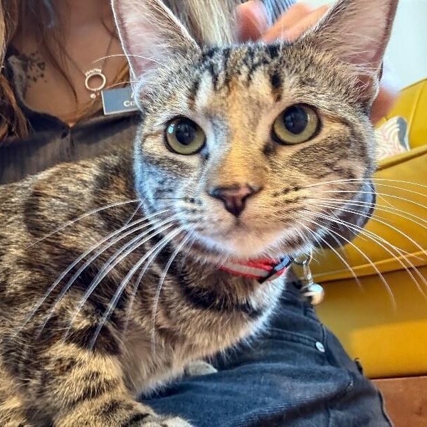 Manhattan New York — thumbnail 5