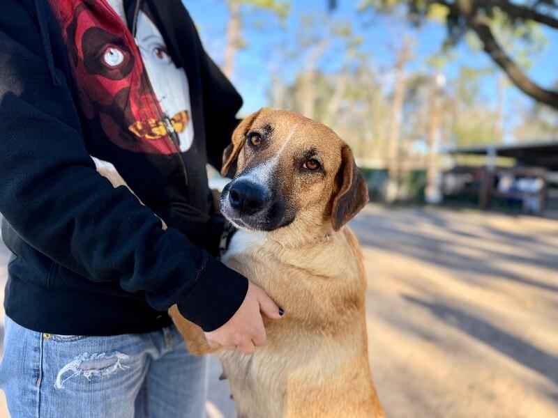 Winnie B. Warm Welcome