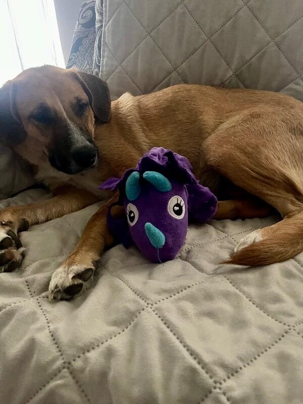 Winnie B. Warm Welcome — thumbnail 2