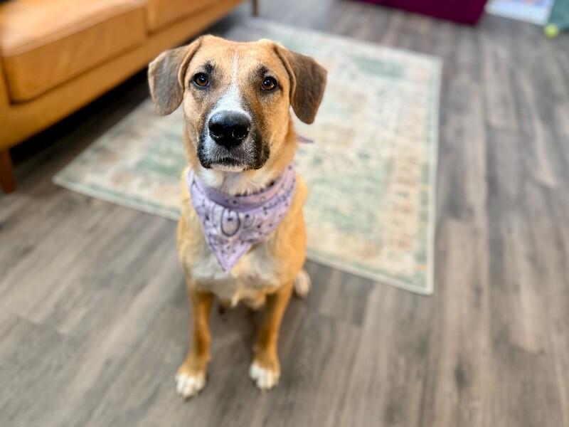 Winnie B. Warm Welcome — thumbnail 3