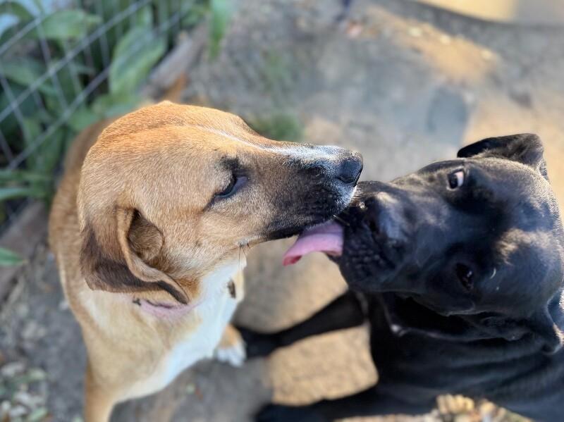 Winnie B. Warm Welcome — thumbnail 4