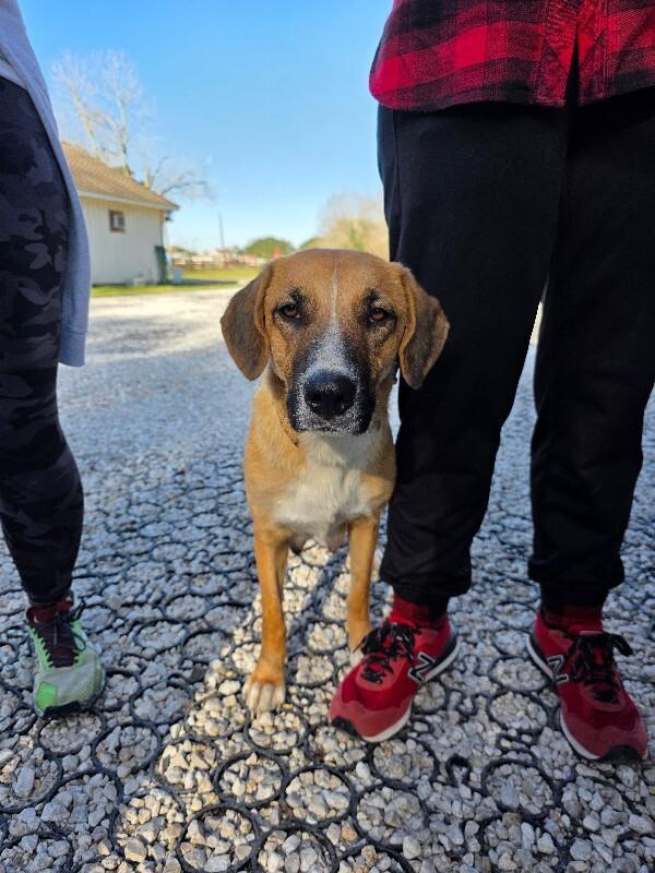 Winnie B. Warm Welcome — thumbnail 5