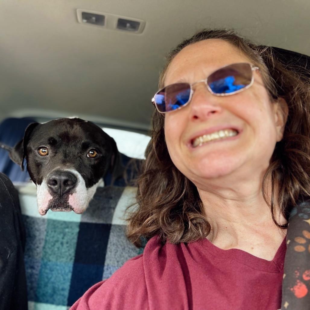 Enlarge Nitro (Sponsored), a Adoptable mixed breed in East Saint Louis, IL image 3/5