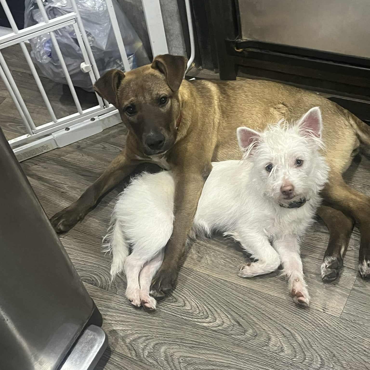 Gina — thumbnail 5