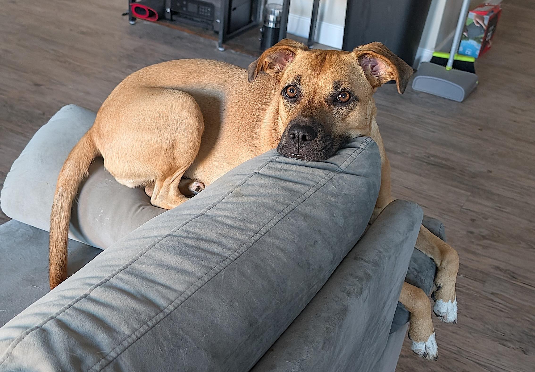 Remi — thumbnail 3