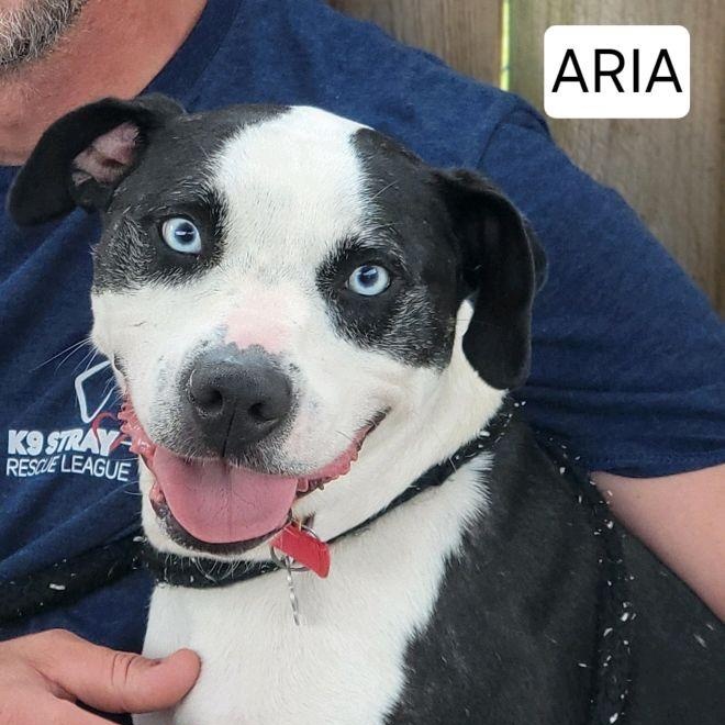 Aria