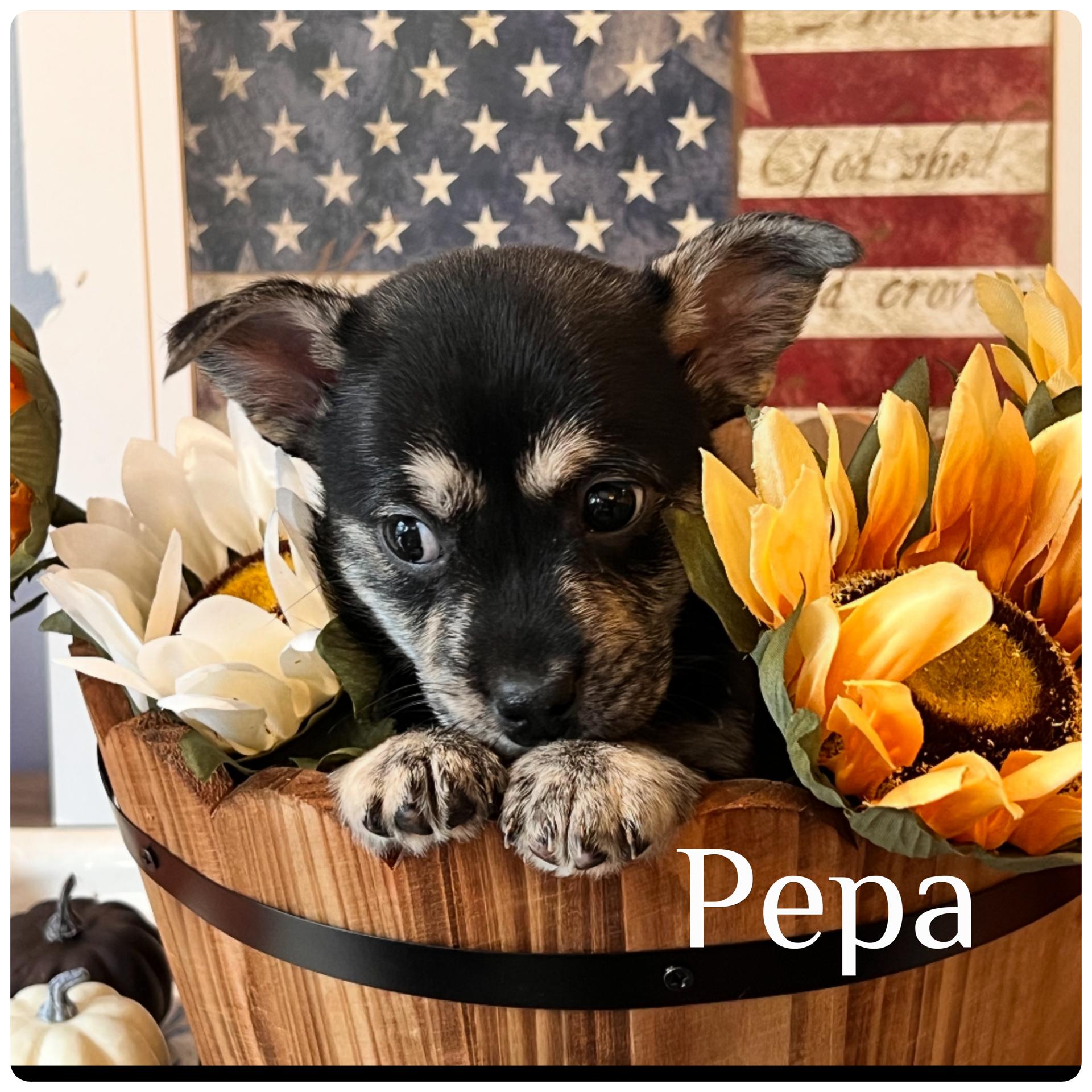 Pepa