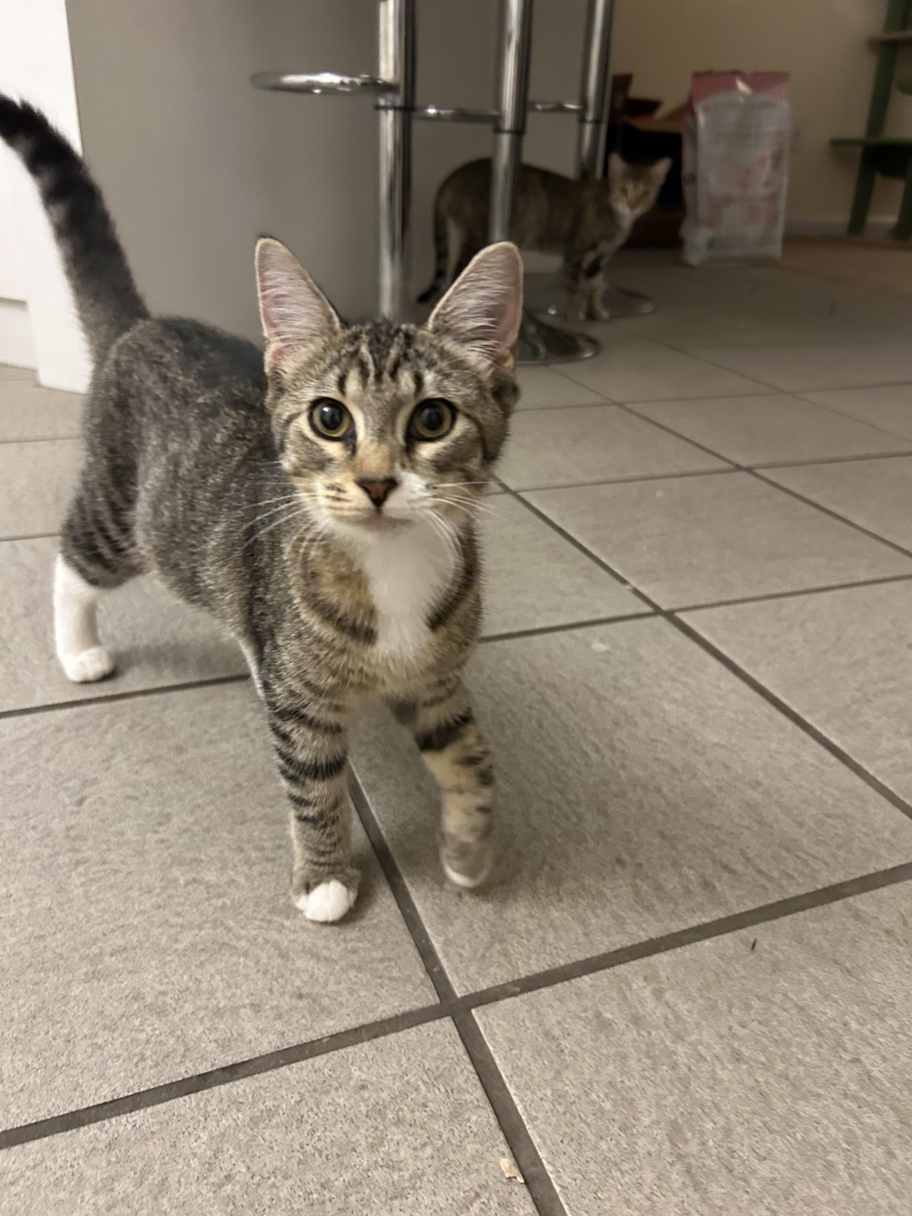 Dorothy — thumbnail 4