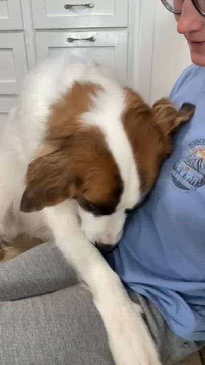 Enlarge Edith, a Adopted mixed breed in Hixson, TN video 2/6