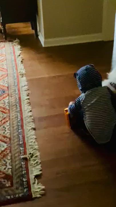 Enlarge Edith, a Adopted mixed breed in Hixson, TN video 4/6