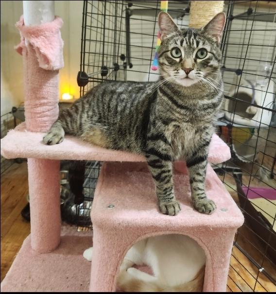 Danny "the Goofball!"