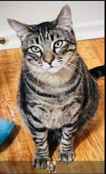 Danny "the Goofball!" thumbnail 3