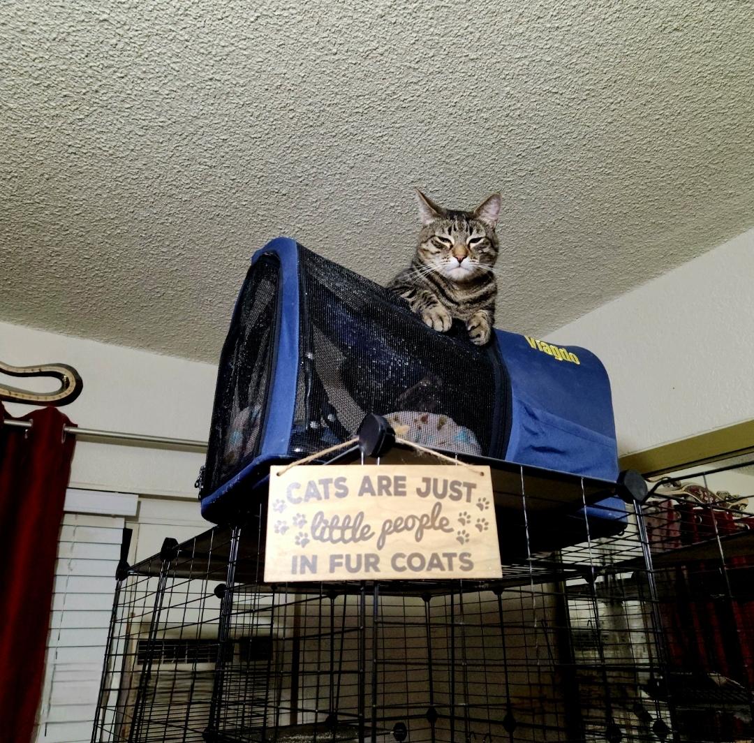 Danny "the Goofball!" thumbnail 4