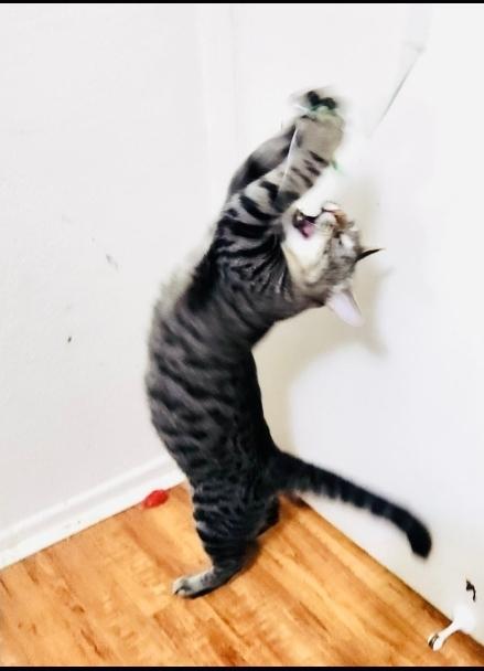 Danny "the Goofball!" thumbnail 5