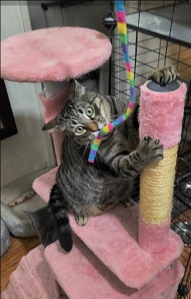 Danny "the Goofball!" thumbnail 6