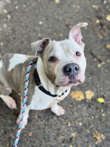 Shannielle thumbnail 2