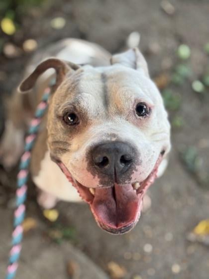 Shannielle thumbnail 3