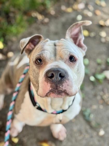 Shannielle thumbnail 4