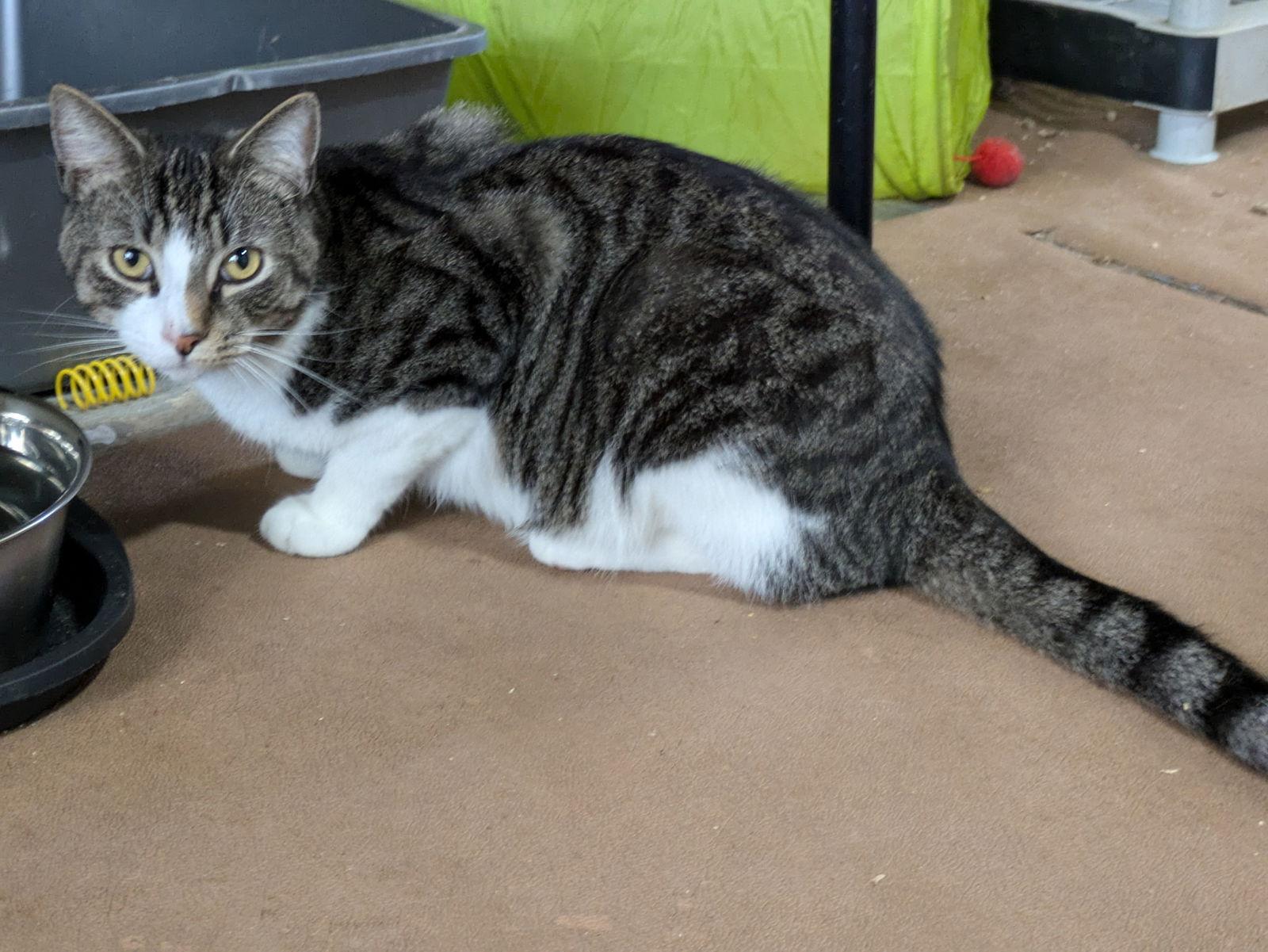 Cry Baby — thumbnail 2