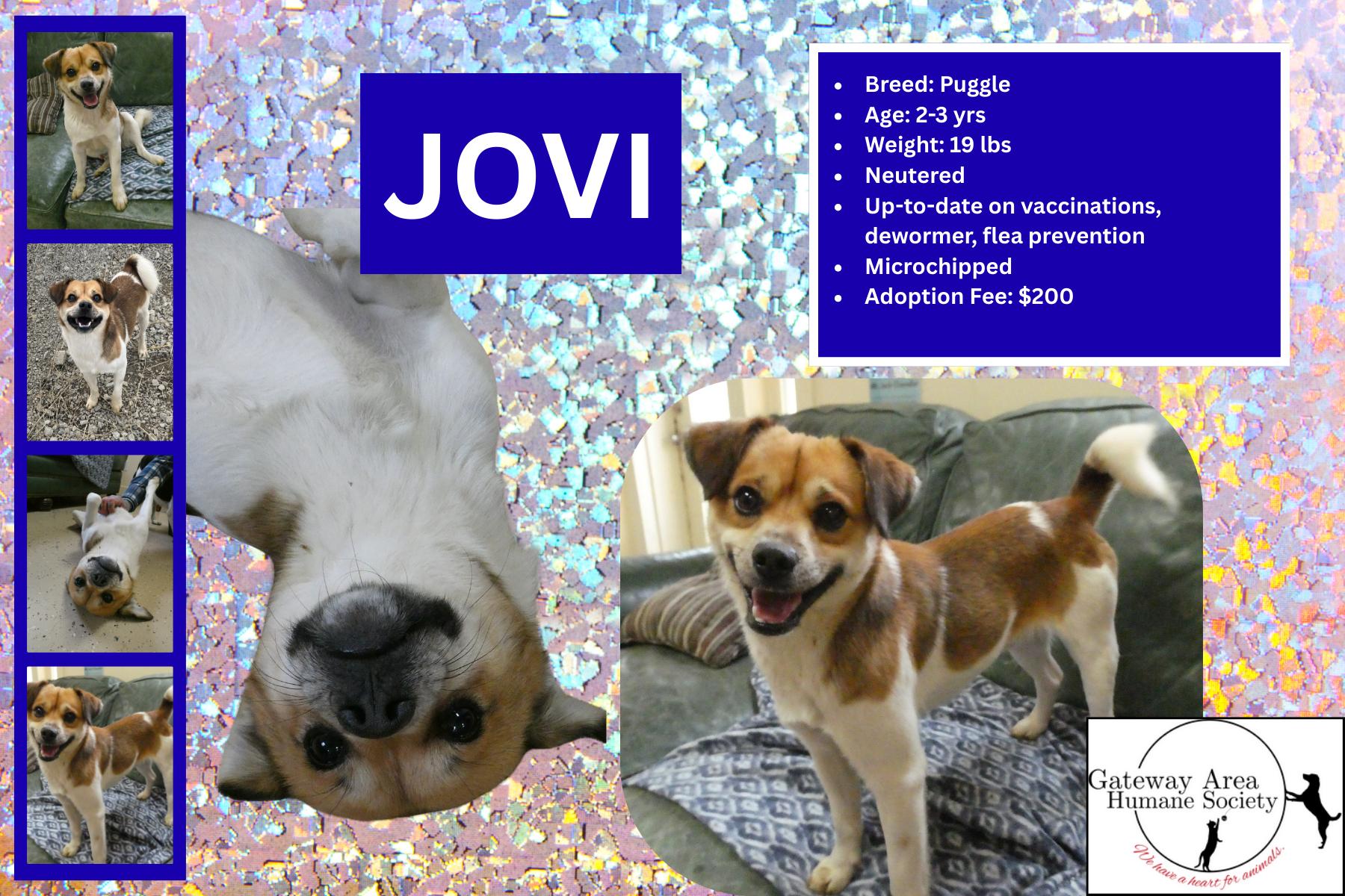 Jovi thumbnail 4