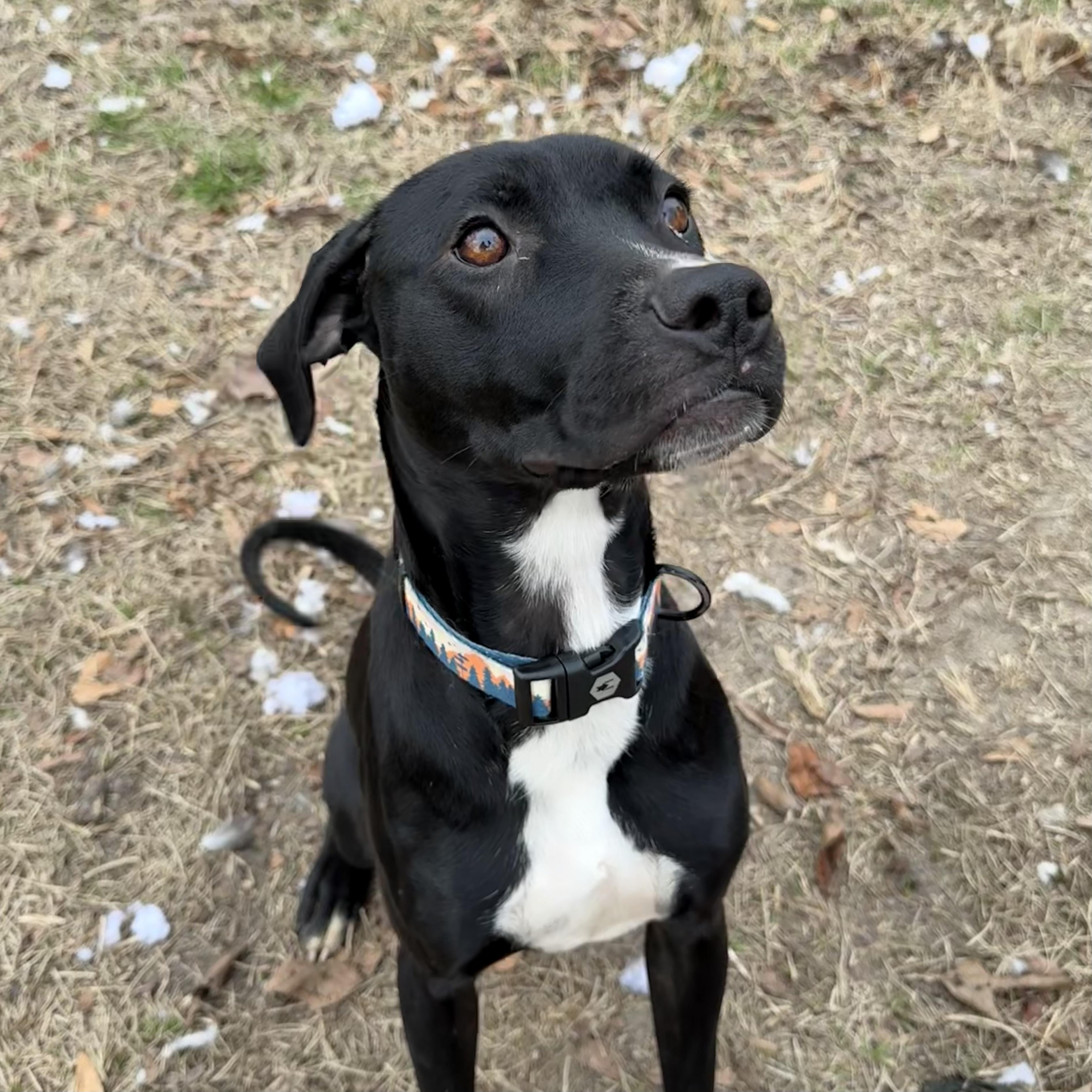 Lilo — thumbnail 5