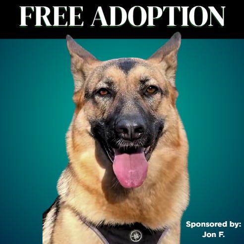 Enlarge Becca, a Adoptable German Shepherd Dog in Mount Shasta, CA image 2/4