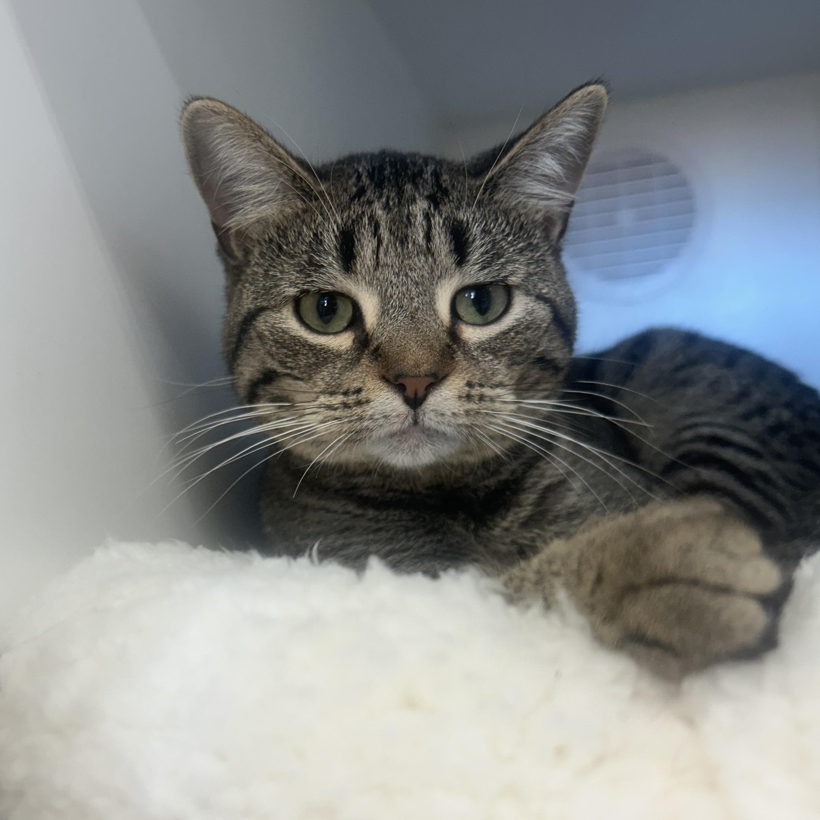 Beauty @ Pet Supplies Plus Woodhaven