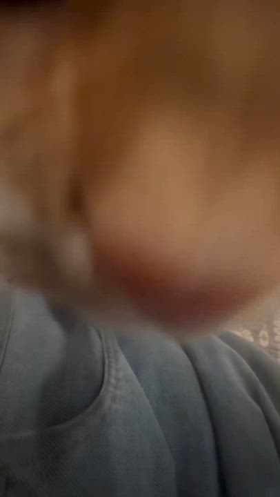 Enlarge Jett, a Adopted Domestic Short Hair in Galloway, NJ video 6/6