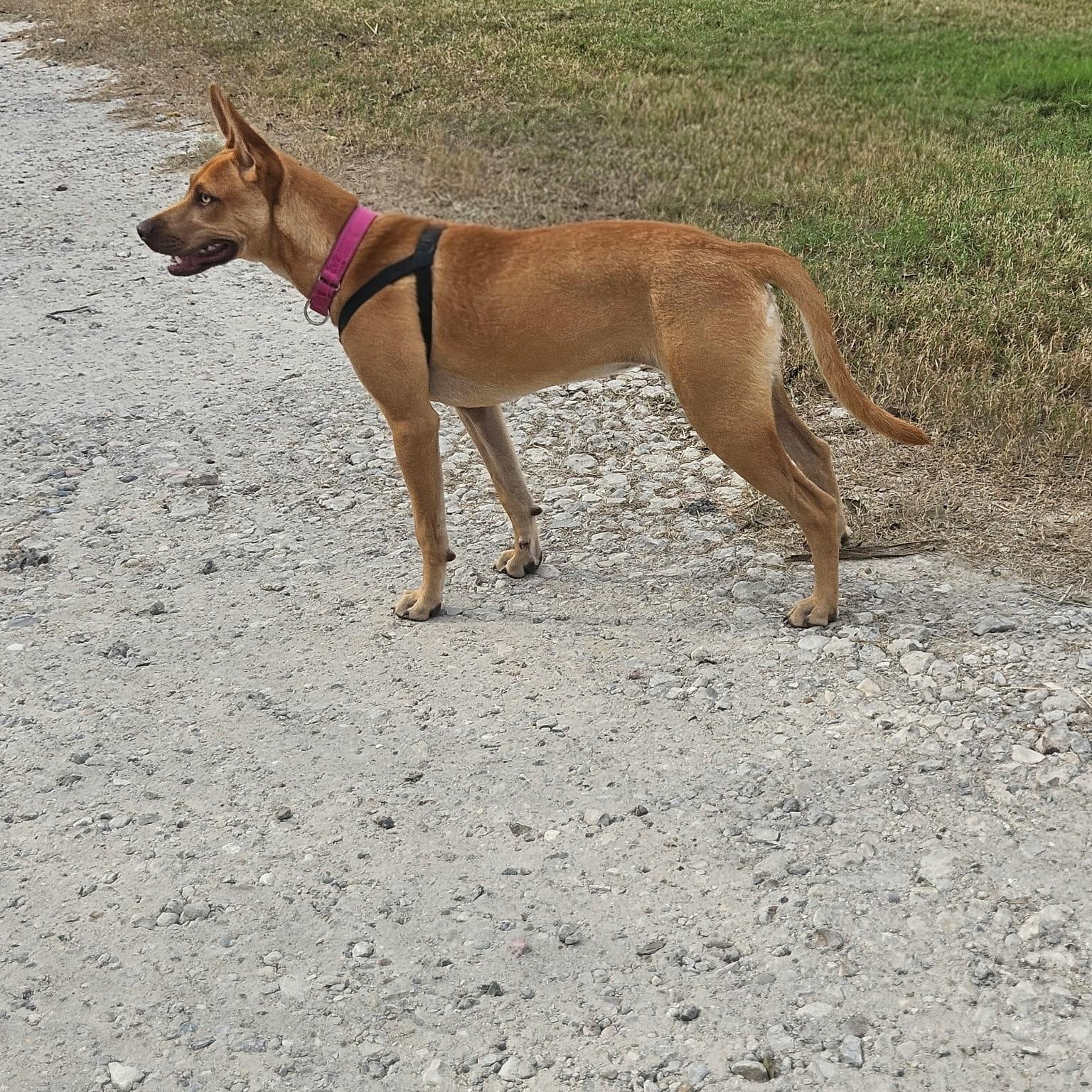 Zoey — thumbnail 2