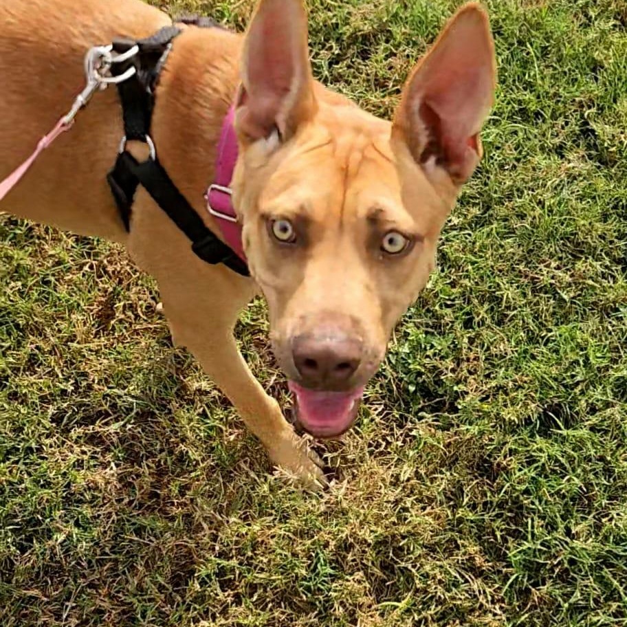 Zoey — thumbnail 4