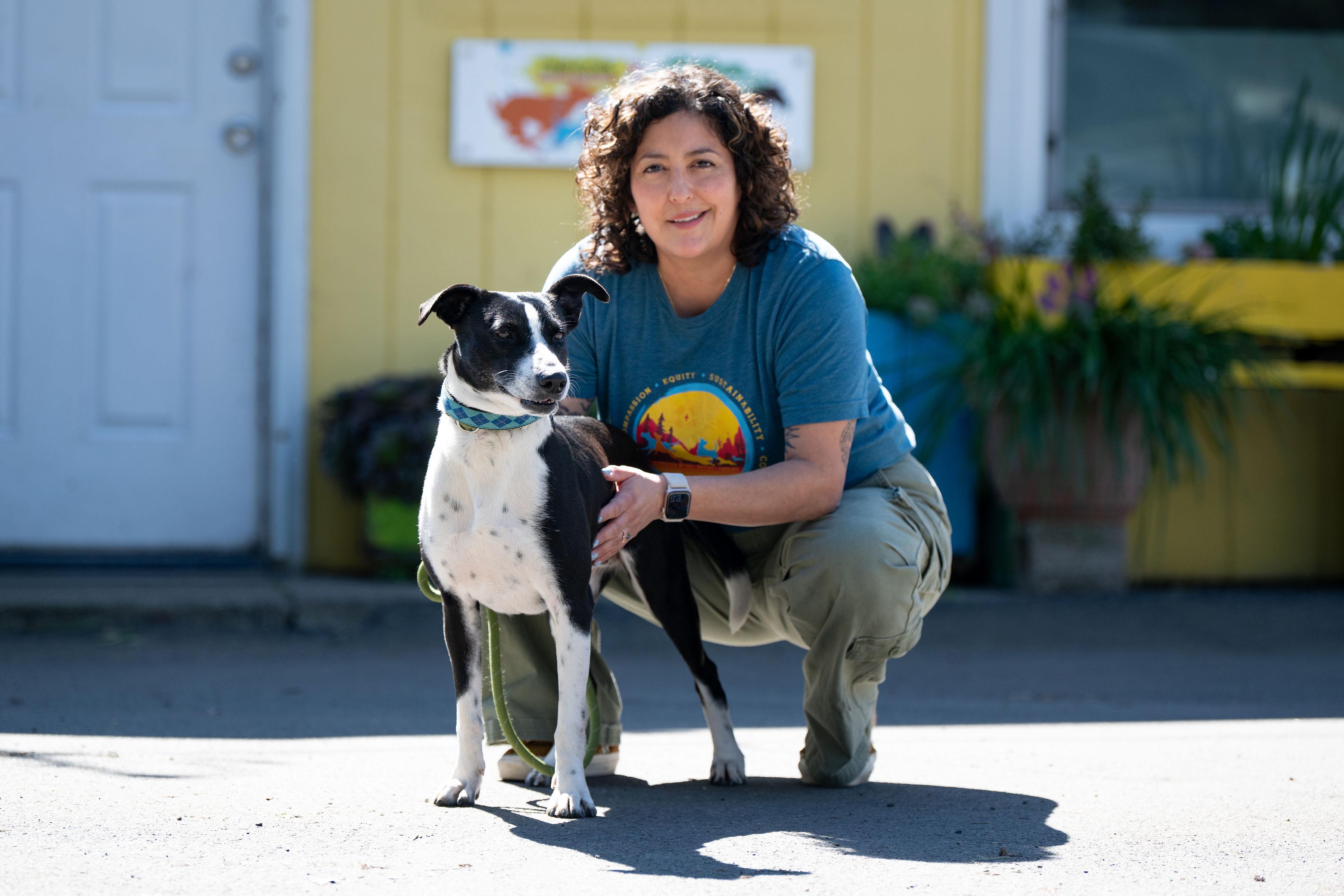 Enlarge Clara, a ADOPTABLE Border Collie in Santa Rosa, CA image 5/6