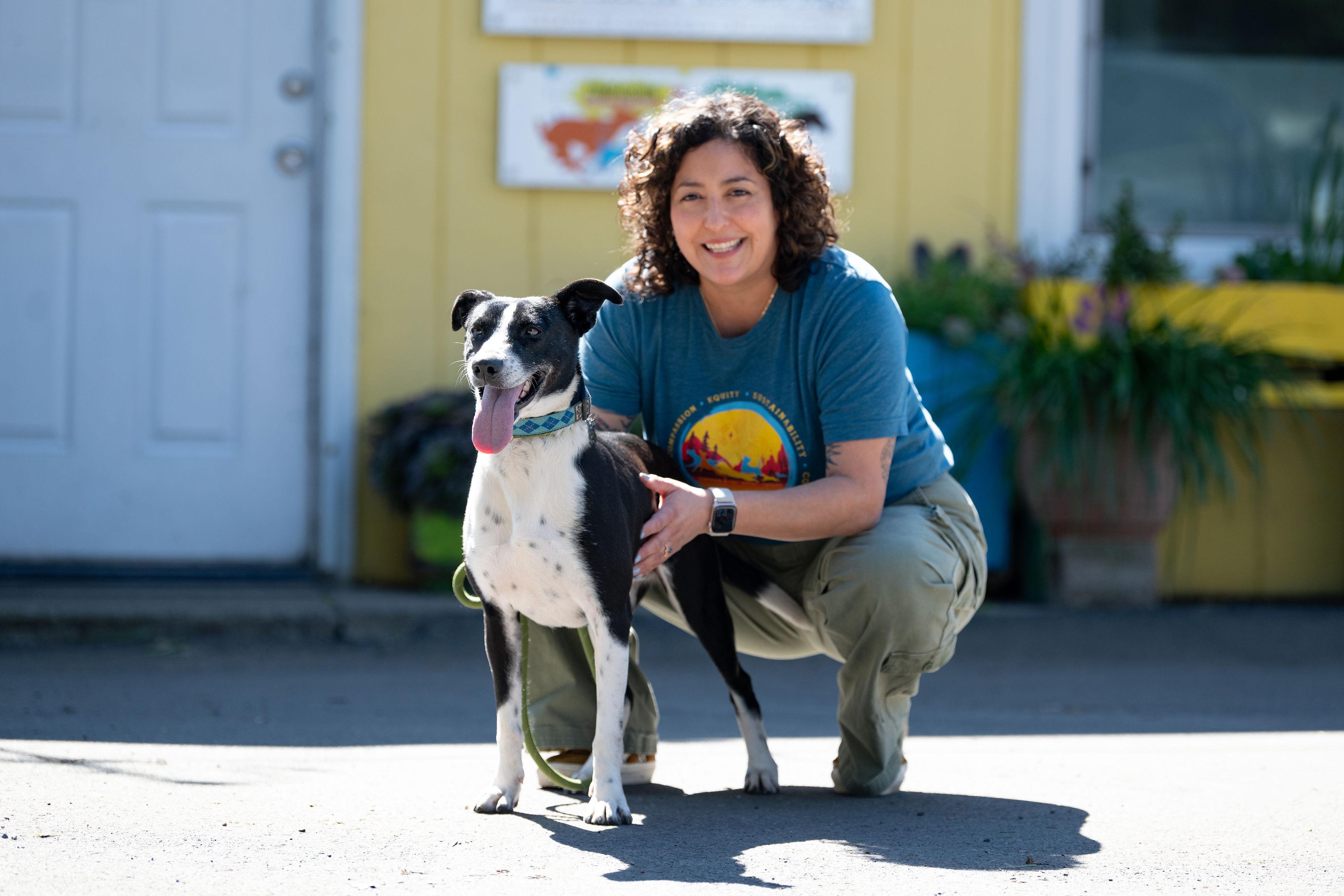 Enlarge Clara, a ADOPTABLE Border Collie in Santa Rosa, CA image 4/6