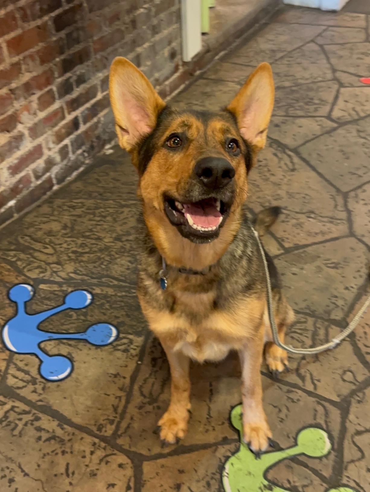 Nova