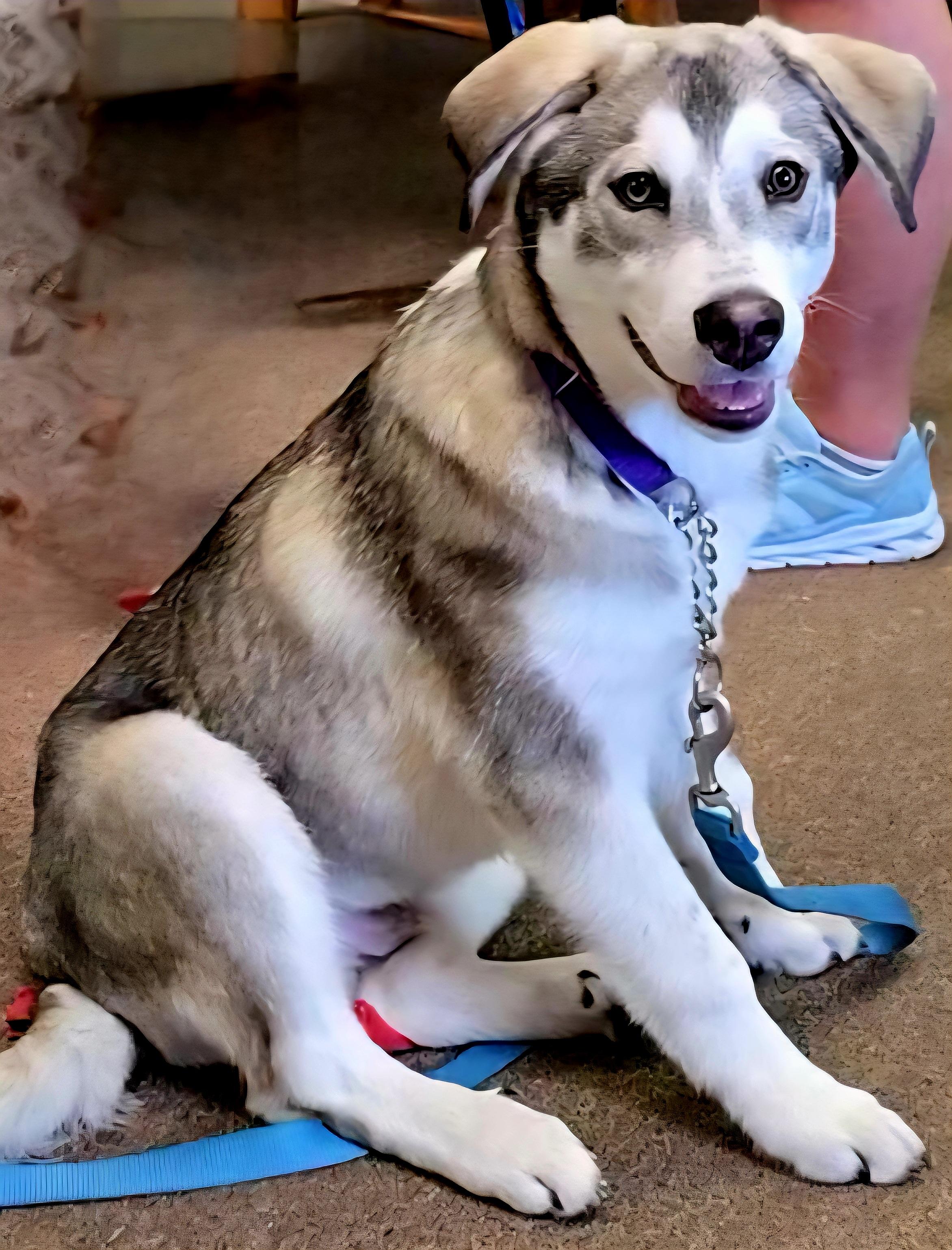Tonka