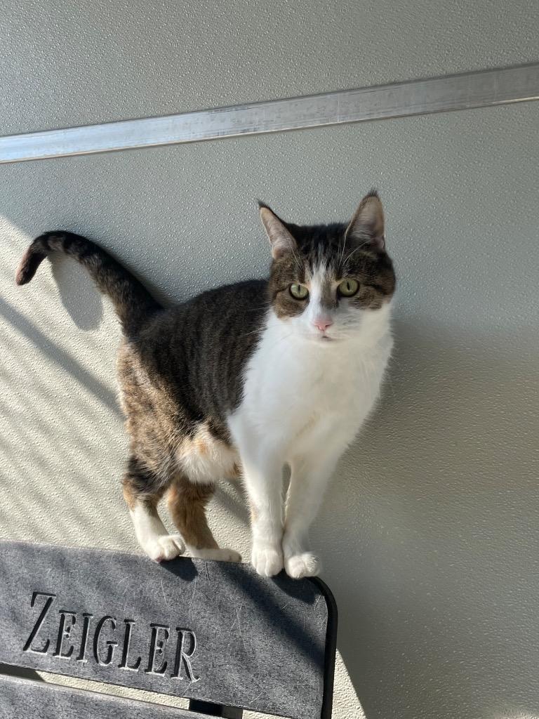 Ms Minnie thumbnail 3