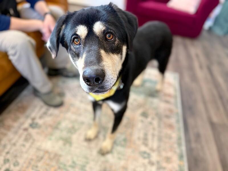 Lil Guy Lou Lover — thumbnail 5