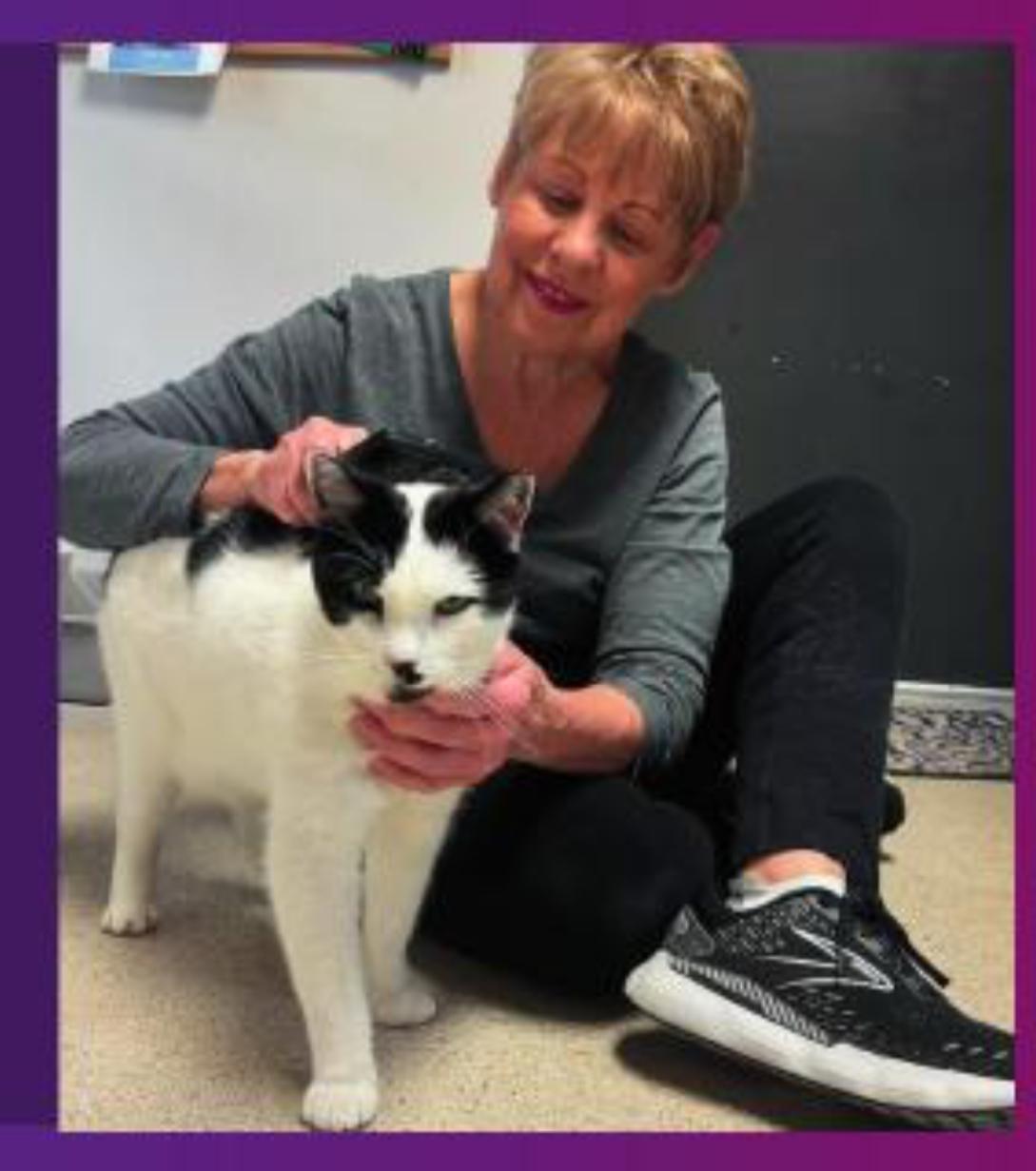 Enlarge Frack, a Adoptable mixed breed in Cincinnati, OH image 6/6