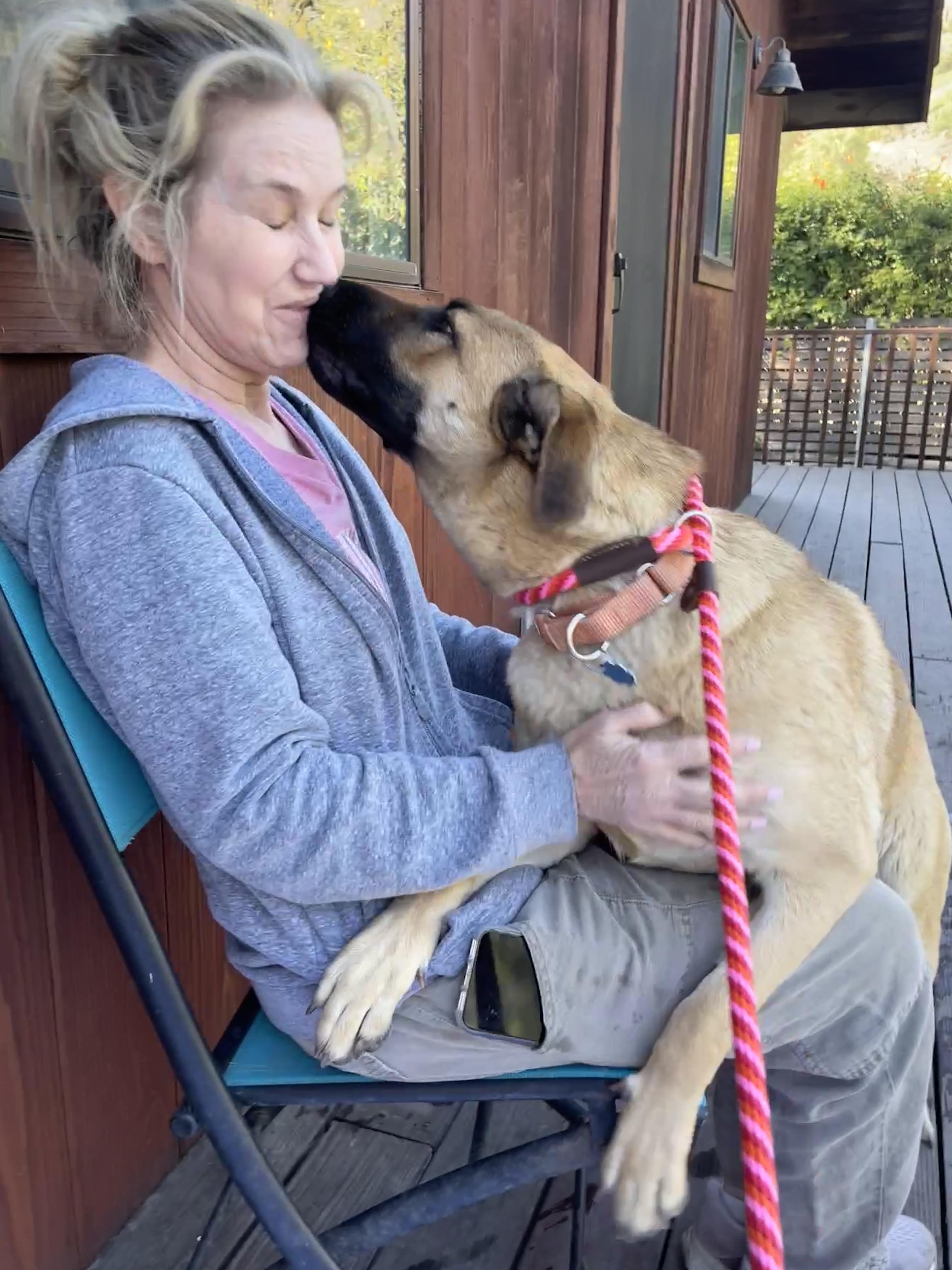 Enlarge Lainey, a Adoptable mixed breed in Rancho Palos Verdes, CA image 3/6
