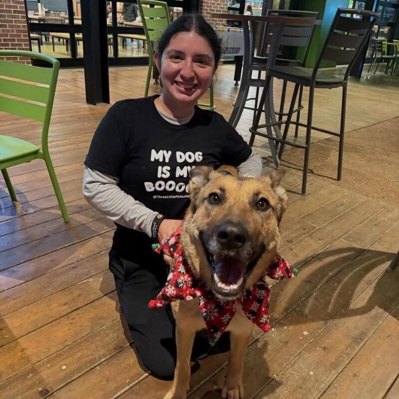 Ari Honey the Loving Adventurer — thumbnail 3