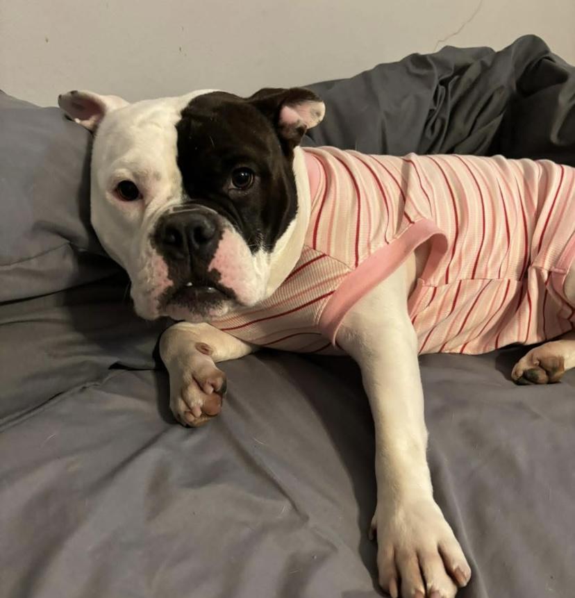 Sweet Tee thumbnail 2