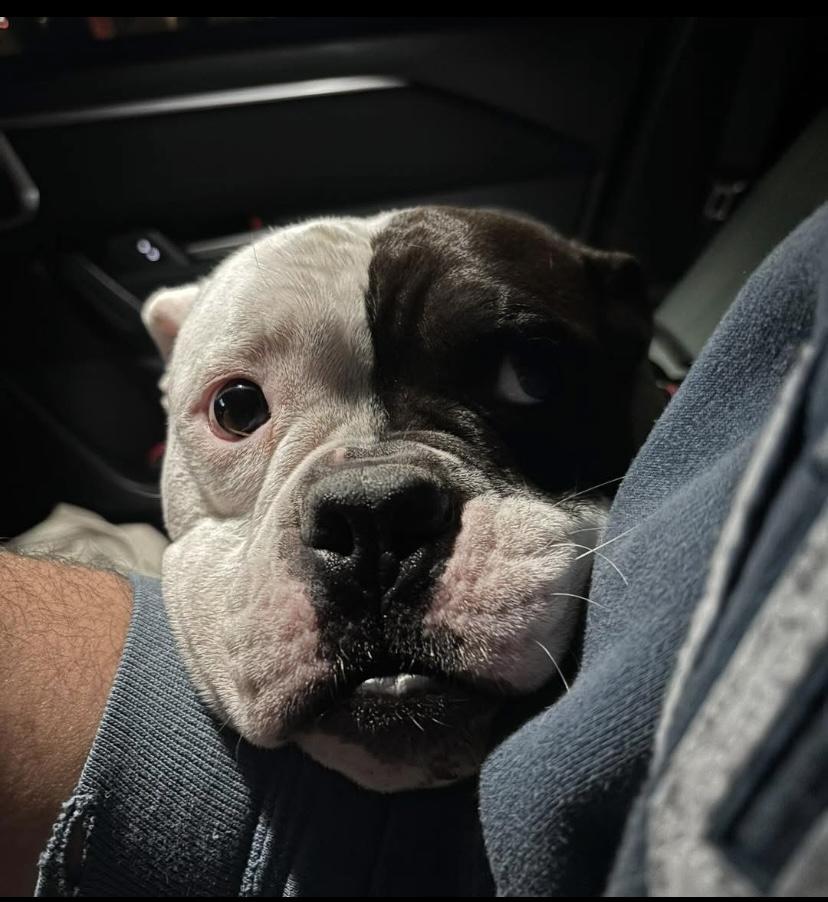 Sweet Tee thumbnail 5