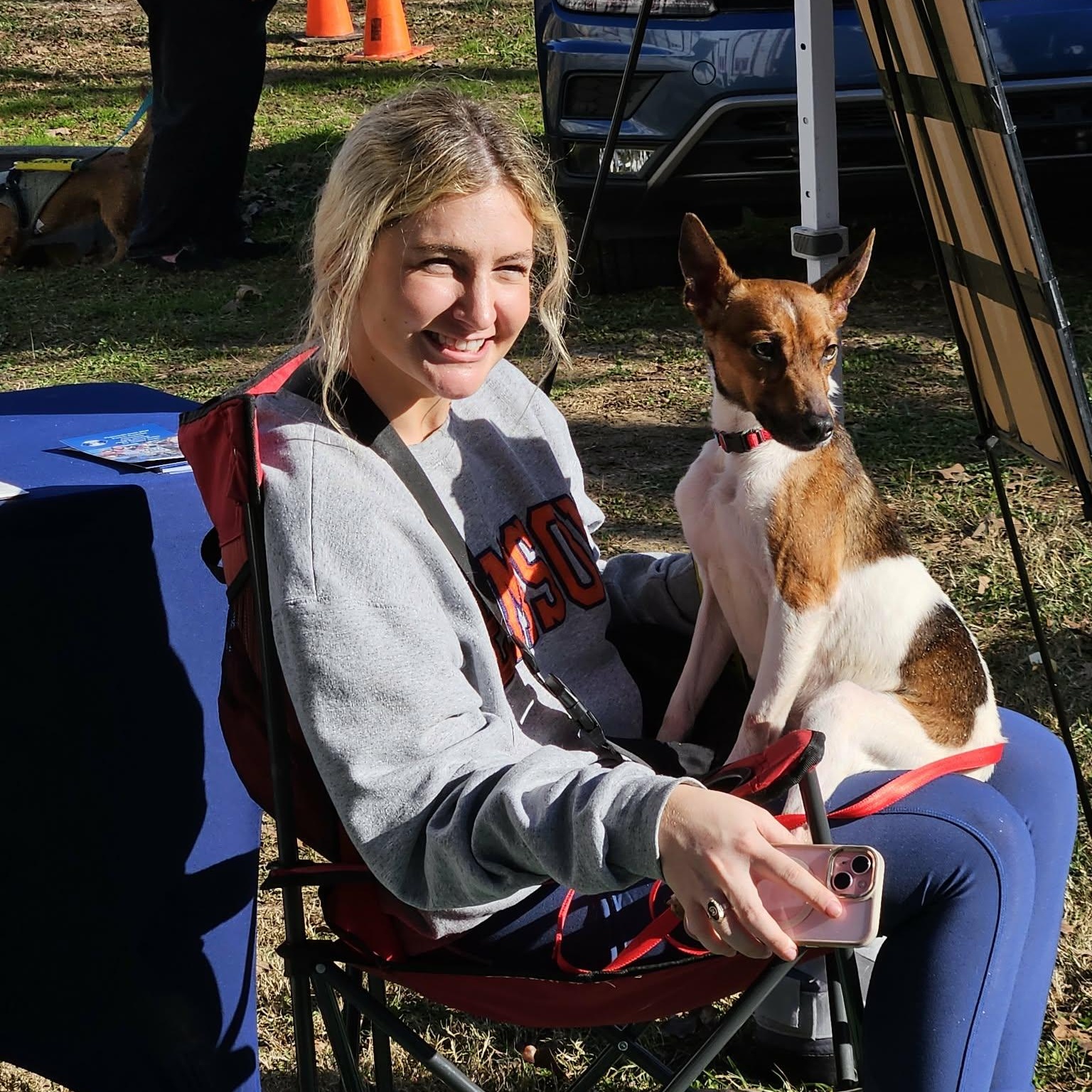 Enlarge Spot - like a little deer! Brother of Jake and Oreo!, a ADOPTABLE mixed breed in Buford, GA image 6/6