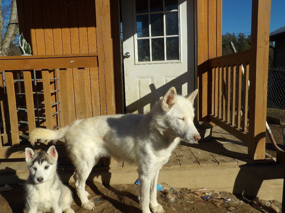 Glacier — thumbnail 3