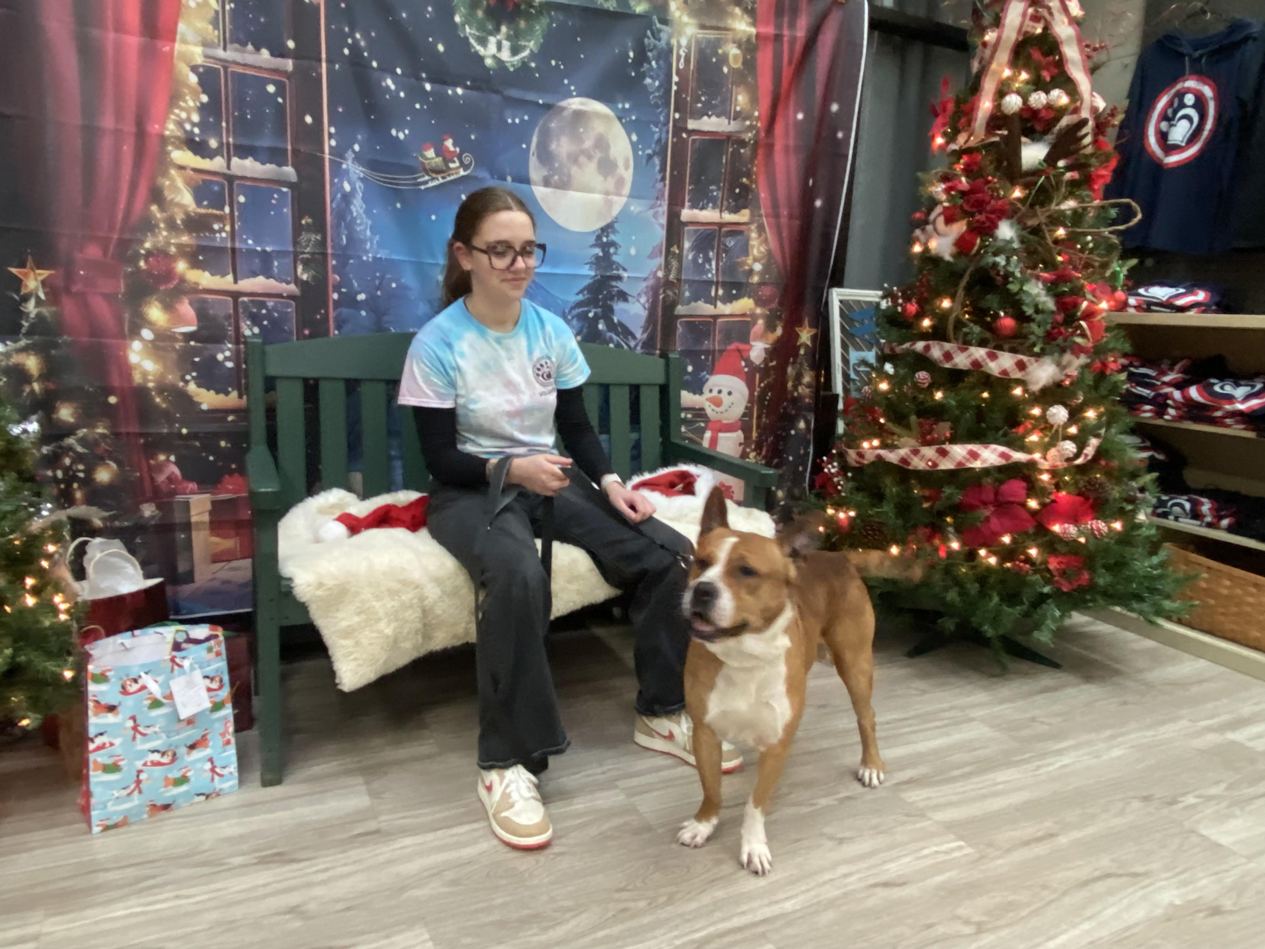 Enlarge Sky, a Adoptable Mixed Breed in Elyria, OH image 3/3