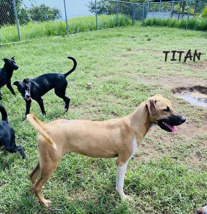 Titan