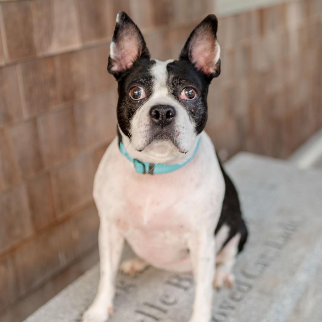 Ella — thumbnail 3